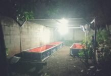 Ketua RT di Bogor Diduga Ubah Aset Kelompok Tani Jadi Pos Ronda Tanpa Izin Lokasi aset bantuan pertanian yang diduga dialihfungsikan menjadi pos ronda oleh Ketua RT setempat di Desa Tlajung Udik, Kabupaten Bogor. Foto: Istimewa