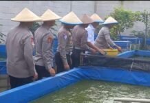 Polres Metro Depok Inisiasi Pembibitan Ikan Lele untuk Dukung Ketahanan Pangan Nasional