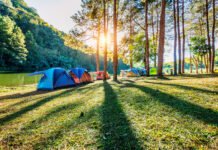 Rekomendasi Tempat Camping di Bogor: Nyaman, Sejuk, dan Instagramable! Camping. Foto: Freepik