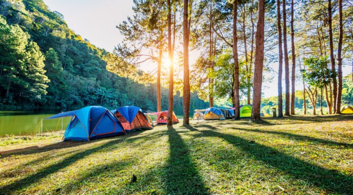 Rekomendasi Tempat Camping di Bogor: Nyaman, Sejuk, dan Instagramable! Camping. Foto: Freepik