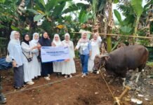 BRI Bogor Pajajaran Salurkan Bantuan Daging Idul Adha untuk Yayasan Sosial di Dramaga BRI Bogor Pajajaran menyerahkan bantuan daging Idul Adha 1446 H kepada Yayasan Kurnia Bhakti Utama sebagai bentuk kepedulian sosial melalui program BRI Peduli, Jumat (20/6/2025). Foto: Istimewa