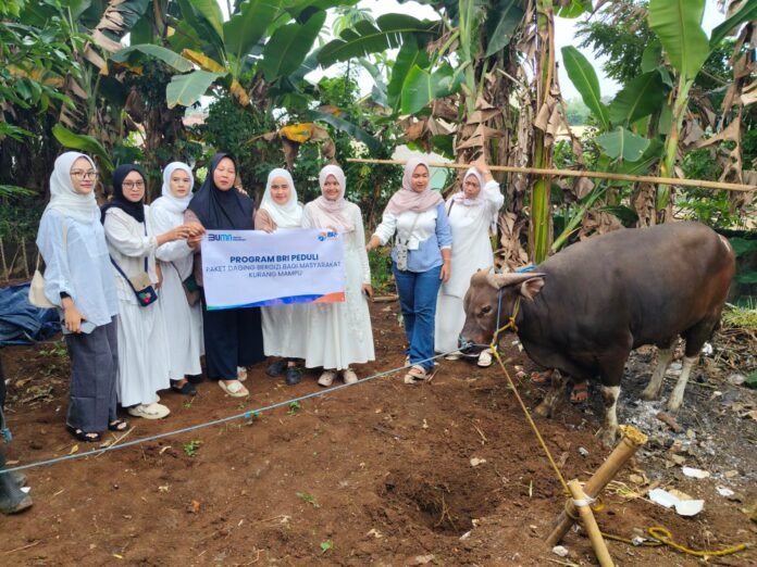 BRI Peduli BRI Bogor Pajajaran menyerahkan bantuan daging Idul Adha 1446 H kepada Yayasan Kurnia Bhakti Utama sebagai bentuk kepedulian sosial melalui program BRI Peduli, Jumat (20/6/2025). Foto: Istimewa