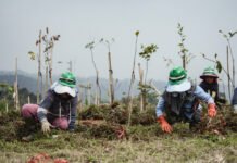 EIGER Adventure Land Wujudkan Ekowisata Berkelanjutan di HUT RI ke-80 EIGER Adventure Land menanam ribuan pohon dan menghidupkan kembali lahan kritis sebagai bagian dari program konservasi. Foto: Istimewa