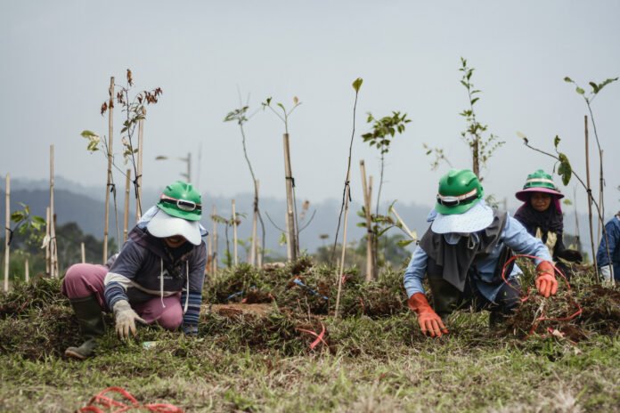 EIGER Adventure Land 4 EIGER Adventure Land menanam ribuan pohon dan menghidupkan kembali lahan kritis sebagai bagian dari program konservasi. Foto: Istimewa