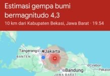 Breaking News: Gempa Magnitudo 4,9 Guncang Bekasi, Getaran Terasa hingga Depok, Bogor dan Jakarta gempa magnitudo 4,9 mengguncang Bekasi, Rabu (20/8/2025) malam. Getaran terasa hingga Depok, Karawang, dan sebagian wilayah Jakarta. Foto: Harnas.id/ Istimewa