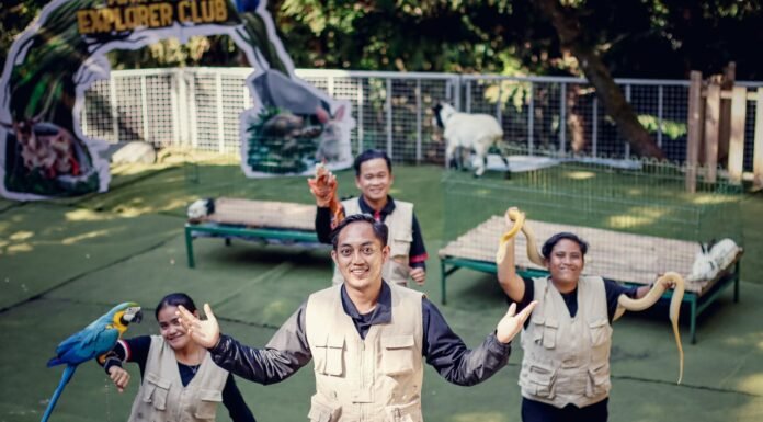 Pesona Alam Resort & Spa Luncurkan Animal Explorer Club: Liburan Seru Sambil Belajar Cinta Satwa Animal Explorer Club di Pesona Alam Resort & Spa, Cisarua. Foto: Istimewa