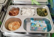 Wadah MBG Pakai Minyak Babi, MUI Bilang Ini ke BGN