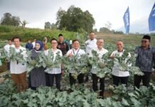 Menko Pangan RI Zulkifli Hasan Apresiasi Program Ketahanan Pangan PNM di Jawa Tengah Menko Pangan RI Zulkifli Hasan meninjau langsung program pemberdayaan PNM di Kopeng, Jawa Tengah, bersama Direktur Utama PNM Arief Mulyadi. Foto: Istimewa