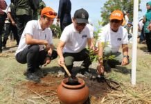 BNPB dan Unsur Pentaheliks Tanam 123.320 Bibit Pohon di Jawa Barat