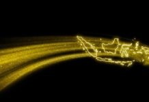 Refleksi Akhir Tahun: Prof. Didin Minta Arah Pembangunan Nasional Dikembalikan ke Amanat Konstitusi