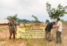 Satpol PP Parung Panjang Sidak Galian Tanah Ilegal, Warga Khawatir Dampak Debu dan Longsor