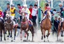 Hari Kuda Nasional, Pakar IPB Dorong Regulasi Tegas Hentikan Praktik Joki Anak