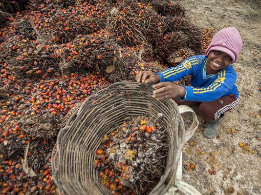 Pelaku Industri Sawit Siap Tingkatkan Perlindungan Terhadap Perempuan dan Anak