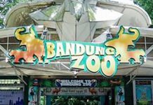 Nasib Bandung Zoo Masih Dikaji, Pemkot Pertimbangkan Tiga Opsi Pengelolaan Kawasan Bandung Zoo yang Tutup Sejak Agustus 2025. Foto: Istimewa.