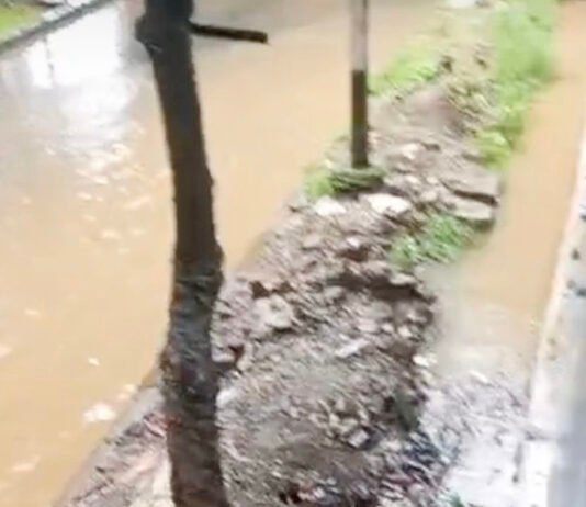 Kerusakan Jalan Terus Berulang, DPRD Ingatkan PUPR Jangan Tunggu Korban Kondisi Jalan Berlubang dan Tergenang di Salah Satu Ruas Kota Bogor Akibat Curah Hujan Tinggi. Foto: Dok. Harnas.