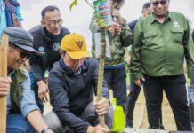 Wali Kota Bogor Dedie Rachim Tanam Pohon Bersama Komunitas Vespa di Jalur R3, Dorong Pengurangan Emisi Karbon Dedie A. Rachim bersama komunitas Vespa tanam pohon di jalur R3 Kota Bogor. Foto: Pemkot Bogor.
