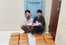 Polisi Bongkar Penyelundupan 50 Kg Ganja di Aceh Tenggara Saat Pascabanjir Barang bukti ganja yang diamankan Polres Aceh Tenggara (dok. Polres).