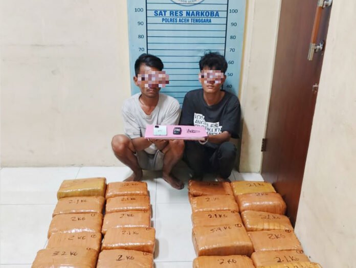 Barang bukti ganja yang diamankan Polres Aceh Tenggara (dok. Polres). Barang bukti ganja yang diamankan Polres Aceh Tenggara (dok. Polres).