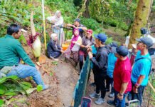 Bunga Bangkai Mekar di Kebun Raya Bogor, Wali Kota Ikut dalam Antrean Pengunjung Pengunjung menyaksikan mekarnya bunga bangkai raksasa di Kebun Raya Bogor. Foto: Pemkot Bogor.