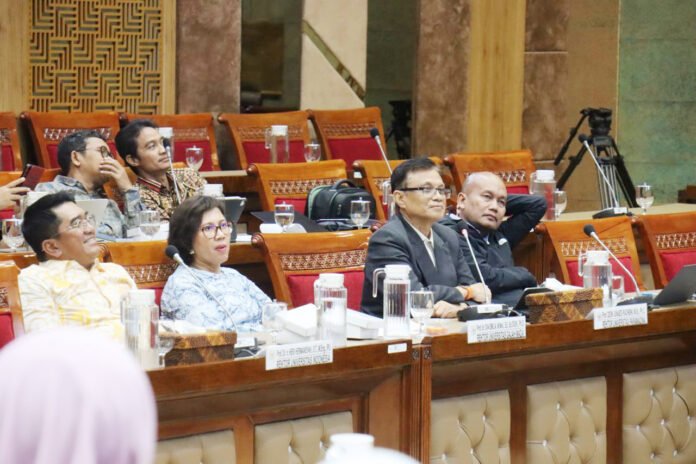 Rektor Universitas Paramadina Prof. Didik J. Rachbini saat menyampaikan pandangan dalam RDPU bersama Komisi X DPR RI di Senayan. Foto: Paramadina.