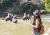 Indonesia Resmi Larang Tunggangi Gajah, Langkah Baru Pariwisata dan Kesejahteraan Satwa Atraksi menunggangi gajah yang kini dihentikan demi kesejahteraan satwa. Foto: Freepik.