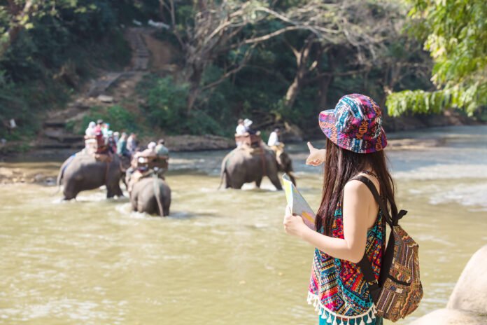 Atraksi menunggangi gajah yang kini dihentikan demi kesejahteraan satwa. Foto: Freepik.