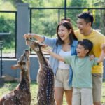 Suasana aktivitas liburan keluarga di JSI Resort Megamendung saat program Lebaran. Foto: JSI Resort Megamendung