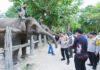 Kapolri dan Titiek Soeharto Turun ke Tesso Nilo, Soroti Masa Depan Habitat Gajah Sumatera Peninjauan kawasan konservasi Gajah Sumatera di Taman Nasional Tesso Nilo. Foto: Humas Polri