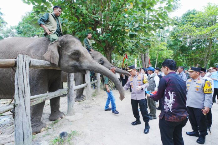 Peninjauan kawasan konservasi Gajah Sumatera di Taman Nasional Tesso Nilo. Foto: Humas Polri