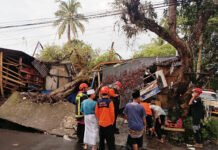 Banjir dan Cuaca Ekstrem Saat Lebaran, BNPB Fokus Penanganan dan Pemantauan Petugas mengevakuasi pohon tumbang akibat cuaca ekstrem di wilayah terdampak. Foto: BNPB