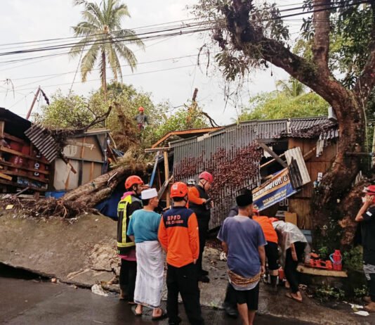 Banjir dan Cuaca Ekstrem Saat Lebaran, BNPB Fokus Penanganan dan Pemantauan Petugas mengevakuasi pohon tumbang akibat cuaca ekstrem di wilayah terdampak. Foto: BNPB
