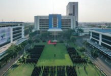 Negara Bocor, Pengamat: Dirjen Bea Cukai Harusnya Diganti