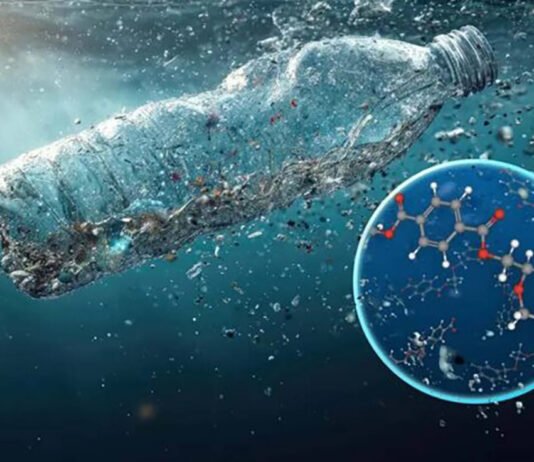 Nanoplastik Bisa Masuk ke Darah Manusia Ini Penjelasan Pakar IPB Ilustrasi partikel plastik berukuran mikro dan nano dalam tubuh manusia. Foto: Istimewa