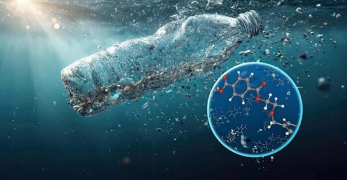 Ilustrasi partikel plastik berukuran mikro dan nano dalam tubuh manusia. Foto: Istimewa Ilustrasi partikel plastik berukuran mikro dan nano dalam tubuh manusia. Foto: Istimewa