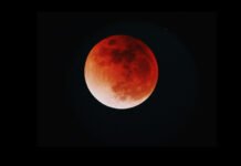 Catat Jamnya! Gerhana Bulan Total 3 Maret 2026 Capai Puncak Pukul 18.33 WIB Ilustrasi fase Gerhana Bulan Total. Image: yukato-unsplash