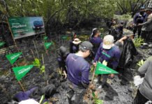 Hari Bumi 2026, Telkomsel Buka Jalan Aksi Nyata: Tukar Poin Jadi Pohon hingga Kompetisi Hijau Program penanaman pohon dalam rangka Hari Bumi 2026 oleh Telkomsel. Foto: Marcomm Telkomsel