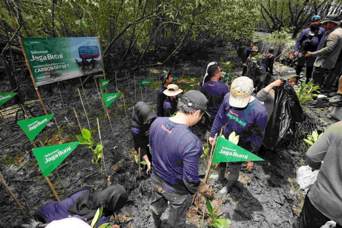 Program penanaman pohon dalam rangka Hari Bumi 2026 oleh Telkomsel. Foto: Marcomm Telkomsel