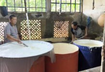 Kedelai Naik, Tahu Bogor Ikut Terbang: Harga Melonjak, Ukuran Tetap Perajin tahu di Jalan Bagaspati, Bogor, menyesuaikan harga jual karena lonjakan harga kedelai impor. Foto: Harnas.id