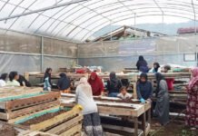 Dari Limbah Jadi Rupiah: Perempuan Bandung Barat Kembangkan Usaha Cacing & Pupuk Organik Onih Suryati mengembangkan budidaya cacing dan pupuk kascing di Bandung Barat, bagian ekosistem usaha ultra mikro. Foto: Humas BRI