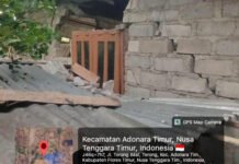 BNPB Catat Rentetan Bencana, Longsor hingga Banjir Muncul di Sejumlah Daerah Kerusakan bangunan warga akibat gempa di Flores Timur. Foto: BNPB