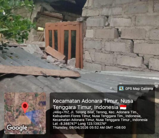 BNPB Catat Rentetan Bencana, Longsor hingga Banjir Muncul di Sejumlah Daerah Kerusakan bangunan warga akibat gempa di Flores Timur. Foto: BNPB