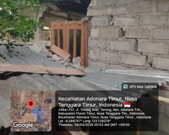 Kerusakan bangunan warga akibat gempa di Flores Timur. Foto: BNPB