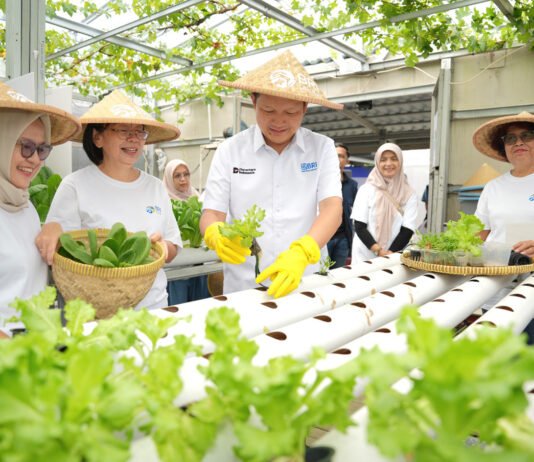 Dari Lahan Tidur ke Lahan Cuan, Program BRInita Bikin Perempuan Buaran Citra Lestari Makin Produktif Aktivitas urban farming kelompok Buaran Citra Lestari di lahan terbatas Jakarta Timur. Foto: Humas: BRI