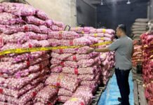 23 Ton Bawang dan Cabai Nyelonong Masuk, Bareskrim Polri Ungkap Jalur Pontianak Barang bukti bawang dan cabai hasil penyelundupan yang diamankan di Pontianak. Foto: Polri