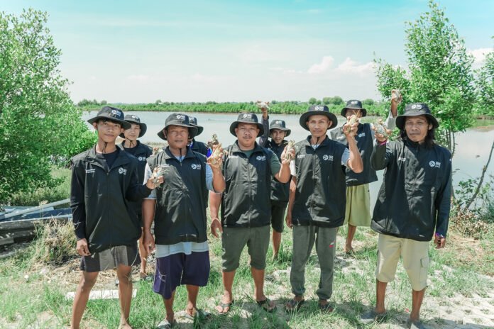 Penanaman mangrove oleh BRI Peduli di pesisir Muara Gembong Bekasi. Foto: Humas BRI