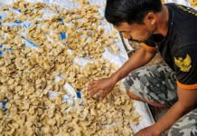 Peran BRI Terasa, Desa Sumberejo Pacitan Bergerak Jadi Kekuatan Ekonomi Lokal Aktivitas ekonomi masyarakat Desa Sumberejo Pacitan berbasis potensi lokal. Foto: Humas BRI