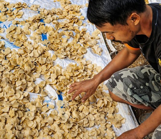 Peran BRI Terasa, Desa Sumberejo Pacitan Bergerak Jadi Kekuatan Ekonomi Lokal Aktivitas ekonomi masyarakat Desa Sumberejo Pacitan berbasis potensi lokal. Foto: Humas BRI