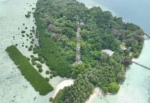Telkomsel Masuk Usia 31 Tahun, Layanan Digital dan AI Jadi Andalan Dongkrak Kinerja Tower BTS Telkomsel berdiri di wilayah kepulauan untuk mendukung pemerataan akses jaringan digital nasional. (Dok. Telkomsel)