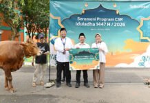 Iduladha 2026, Telkomsel Sebar Ratusan Hewan Kurban hingga Jabotabek dan Jawa Barat Penyaluran hewan kurban Telkomsel kepada masyarakat dalam program CSR Iduladha 1447 Hijriah. Foto: Humas Telkomsel