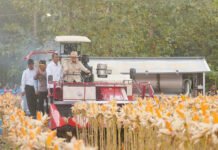 Prabowo di Tuban: Polri Kerap Dicibir, Tapi Panen Jagung Kini Bicara Hasil Presiden Prabowo Subianto mengendarai traktor saat menghadiri panen raya jagung serentak di lahan pertanian Kabupaten Tuban, Jawa Timur. Foto: Harnas.id